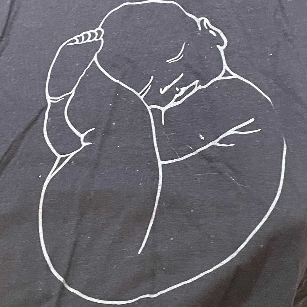 Anne Geddes maternity top size large